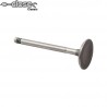 Exhaust valve 