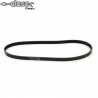 Alternator and water pump belt