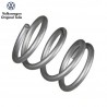 Rear brake pad support spring