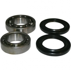 Kit roulements de roue arrière